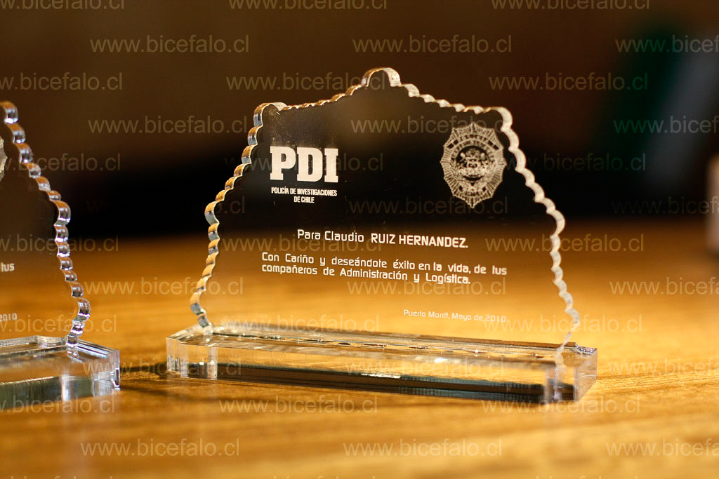 trofeo acrilico PDI