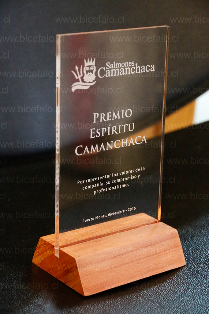 Trofeo acrilico con madera