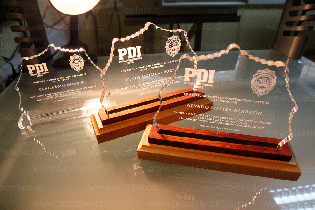 trofeo acrilico madera PDI