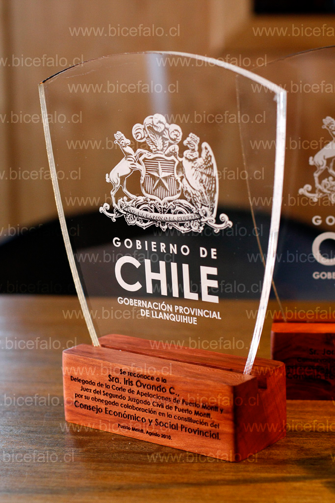 Trofeo acrilico Gobierno de chile